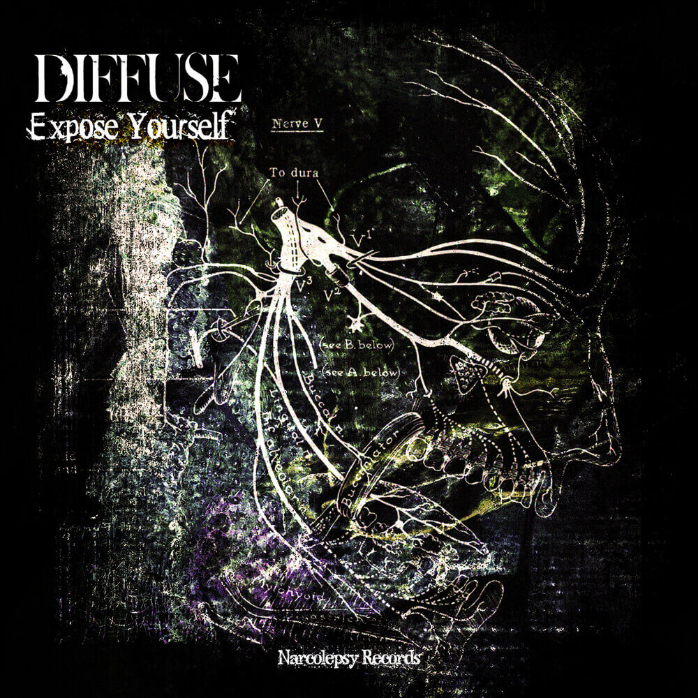 Diffuse - Expose Yourself